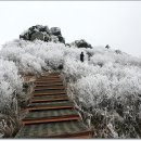 죽마고우 - 아산시 | 죽마고우