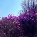 뚜레쥬르 부산남천점 네이버블로그