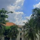 (유)과일인생 | 방콕 리조트 호텔 유사톤 방콕 | 디럭스 가든 뷰 24시간 체크아웃 조식 맛집 수영장 후기