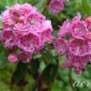 오늘의 선물 이미지