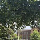 헌이스테이크 | [멜버른] 이것저것 추천 2