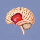 (주)플러스랩에스 이미지