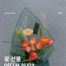 메모리오브플라워(memory of flower)