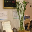 의정부성모치과 이미지