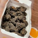 라데나 제주 이미지