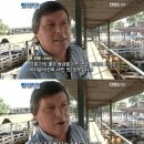 아르헨티나 1인 스테이크정식 이미지