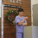 해태동물병원 이미지