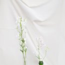 띵동플라워 이미지