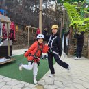 스카이네비 | [충북/보은] 속리산 테마파크 8살 아이와 '스카이트레일' 후기