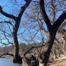 노브랜드버거 경산영남대역점 이미지