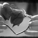 허니(HONEY) 이미지