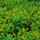 언덕위하얀어린이집 이미지