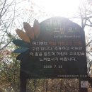 현대드림주유소 이미지