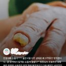 샵 손톱에물들다&페디클린업 이미지