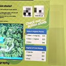 음악역1939 스튜디오(S-STATION) | 싱가포르 액티비티 센토사 스카이헬릭스와 스카이라인 나이트루지 체험 후기