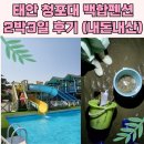 파니오락실 | 백합펜션, 태안 청포대 야간 조개잡기, 야외 수영장!! 2박3일 (내돈내산)