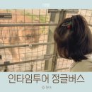 (주)인투어 | 후쿠오카 사파리 인타임투어 정글버스 투어 사자 먹이준 후기