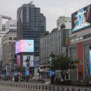1452 이미지