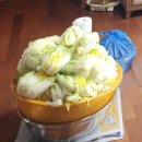 365 그랜드약국 | 2025년 11월 마지막주