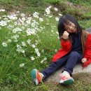 센텀항도유치원 이미지