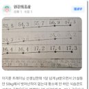 고릴라 멀티짐 이미지