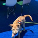 옥포테니스장 | [대구 실내외 테니스장] 팝테니스 달서 화원ic점 실내코트 솔직후기, 대구신상 실내테니스장