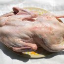 우리유황오리영농조합법인 이미지