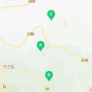덩굴원법인 네이버블로그