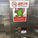 코어스포츠 제주 | [혼자 제주 3개월 살기]6일차 화란 동파육덮밥, 앙뚜아네트 카페 , 코어스포츠