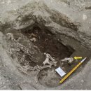 국립문화재연구소 이미지