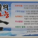바위섬아귀찜