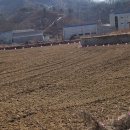 진천중앙공인중개사사무소 이미지