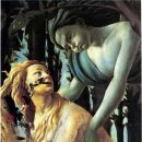 프리마 베라 이미지