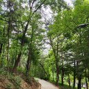 태전테니스장 이미지