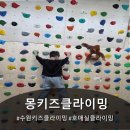 거성태권도 | 수원키즈클라이밍 - 몽키즈클라이밍 수원호매실점