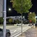 다이소서충주점 네이버블로그