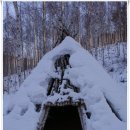 노루목작은도서관 | [20120211]『인제 자작나무숲길 걷기』&#39;수산리 자작나무 숲&#39; &amp; &#39;원대리 자작나무 숲&#39; - 4부