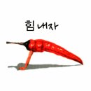 김치의~효능🌶🔊 이미지