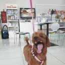 수성 메트로 동물병원 이미지