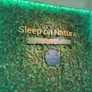 730 | 인천 두비비에 매트리스 솔직후기 매트리스730