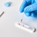 파인비치 이미지