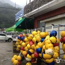 한백 이미지