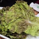 삼성1로 이미지