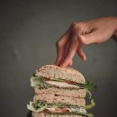 히피스베이글 이미지