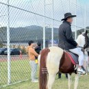 자연농장 | [강화도 아이와 가볼만한 곳] 자연체험농장 후기 (고구마 캐기, 깡통열차, 동물 먹이주기)