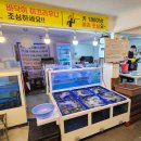 화도진로82번길 2 | 창원 반지동 꼬마수산 / 생새우 500g 포장 솔직후기 새우손질 내돈내산