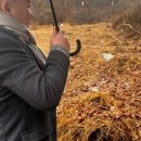 SM 행정사 사무소 이미지