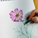 색연필일러스트&보타니컬아트 이미지