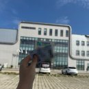 삼성IC충전소 | 7년 무사고 1종보통 갱신과 모바일면허증발급부터 수령까지 상세한 절차 후기