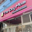 도그맘애견 네이버블로그